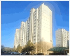  2025Ÿ��41289  ����Ʈ���