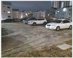  2025Ÿ��41358 ��� ���ý� ������ 1991-5       ����(����)���