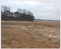  2025Ÿ��41440 ��� ���ý� ������ ��� 577-3      ����(��1)���