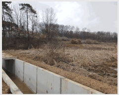  2025Ÿ��41440 ��� ���ý� ������ ��� 577-3      ����(��1)���