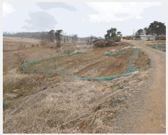  2025Ÿ��41440 ��� ���ý� ������ ��� 577-3      ����(��1)���