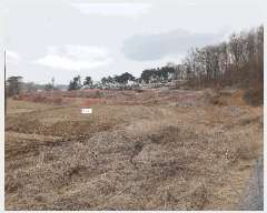  2025Ÿ��41440 ��� ���ý� ������ ��� 577-3      ����(��1)���