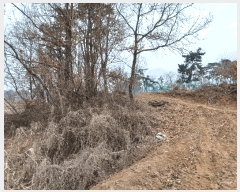  2025Ÿ��41440 ��� ���ý� ������ ��� 577-3      ����(��1)���