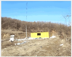  2025Ÿ��41481 ��� �ȼ��� �׻�� �뼳�� ��175-2      ����(�Ӿ�)���