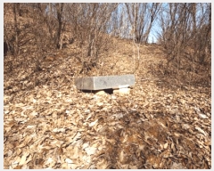  2025Ÿ��41481 ��� �ȼ��� �׻�� �뼳�� ��175-2      ����(�Ӿ�)���