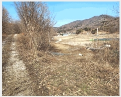  2025Ÿ��41481 ��� �ȼ��� �׻�� �뼳�� ��175-2      ����(�Ӿ�)���