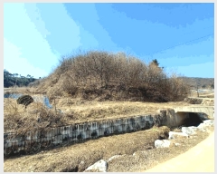  2025Ÿ��41481 ��� �ȼ��� �׻�� �뼳�� ��175-2      ����(�Ӿ�)���