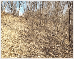  2025Ÿ��41481 ��� �ȼ��� �׻�� �뼳�� ��175-2      ����(�Ӿ�)���