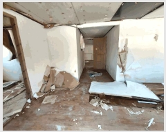  2025Ÿ��41481 ��� �ȼ��� �׻�� �뼳�� ��175-2      ����(�Ӿ�)���