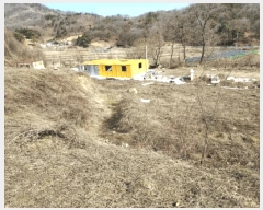  2025Ÿ��41481 ��� �ȼ��� �׻�� �뼳�� ��175-2      ����(�Ӿ�)���