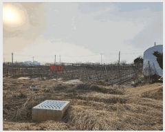  2025Ÿ��41563  �Ӿ߰��