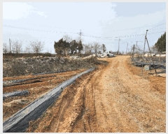  2025Ÿ��41563  �Ӿ߰��