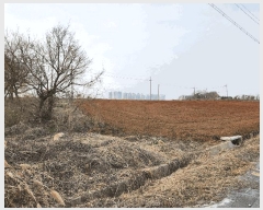  2025Ÿ��41563 ��� ���ý� ������ �۴㸮 854-10      �ٸ��ü�,�󰡰��