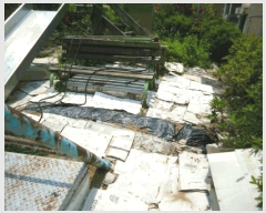  2025Ÿ��41727  �ٰ������ð��