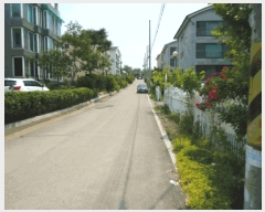  2025Ÿ��41727  �ٰ������ð��