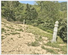  2025Ÿ��41748 ��� �ȼ��� ���׸� ������ ��24-5      ����(�Ӿ�)���