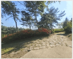  2025Ÿ��41748 ��� �ȼ��� ���׸� ������ ��24-5      ����(�Ӿ�)���