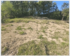  2025Ÿ��41748 ��� �ȼ��� ���׸� ������ ��24-5      ����(�Ӿ�)���