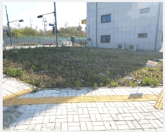  2025Ÿ��41774 ��� ���ý� ������ 2439-1       ����(����)���