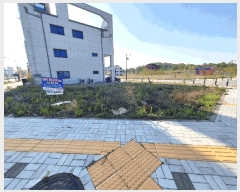  2025Ÿ��41774 ��� ���ý� ������ 2439-1       ����(����)���