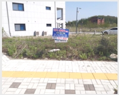  2025Ÿ��41774 ��� ���ý� ������ 2439-1       ����(����)���