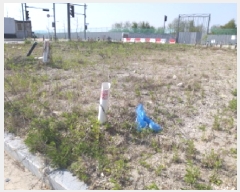  2025Ÿ��41774 ��� ���ý� ������ 2439-1       ����(����)���