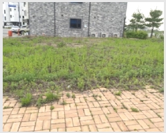  2025Ÿ��41788 ��� ���ý� ������ 1990-20       ����(����)���