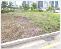  2025Ÿ��41788 ��� ���ý� ������ 1990-20       ����(����)���