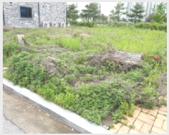  2025Ÿ��41788 ��� ���ý� ������ 1990-20       ����(����)���