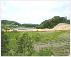  2025Ÿ��41847 ��� �ȼ��� ����� ���긮 152-1      ���ð��