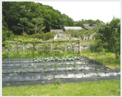  2025Ÿ��41847 ��� �ȼ��� ����� ���긮 152-1      ���ð��