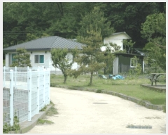  2025Ÿ��41847 ��� �ȼ��� ����� ���긮 152-1      ���ð��