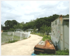  2025Ÿ��41847 ��� �ȼ��� ����� ���긮 152-1      ���ð��