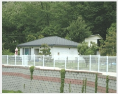  2025Ÿ��41847 ��� �ȼ��� ����� ���긮 152-1      ���ð��