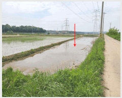  2025Ÿ��41877  ����