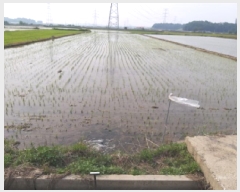  2025Ÿ��41877  ����