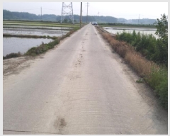  2025Ÿ��41877  ����