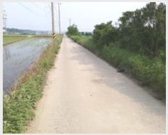  2025Ÿ��41877  ����