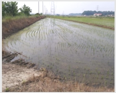  2025Ÿ��41877  ����