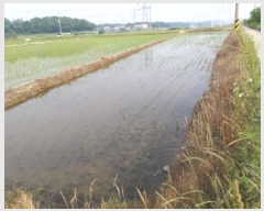  2025Ÿ��41877  ����