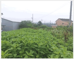  2025Ÿ��41908  �Ӿ߰��