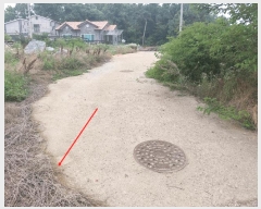  2025Ÿ��41908  �Ӿ߰��