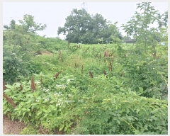  2025Ÿ��41908  �Ӿ߰��