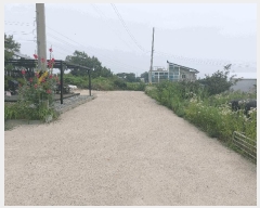  2025Ÿ��41908  �Ӿ߰��