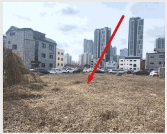  2025Ÿ��41362 ��� ���ý� ������ 2413-3       ����(����)���