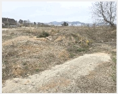  2025Ÿ41509  ȼ 赿 125-1       (1)