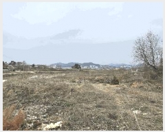  2025Ÿ41509  ȼ 赿 125-1       (1)