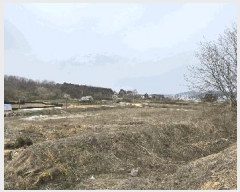  2025Ÿ41509  ȼ 赿 125-1       (1)