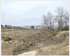  2025Ÿ41509  ȼ 赿 125-1       (1)