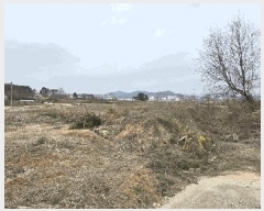  2025Ÿ41509  ȼ 赿 125-1       (1)